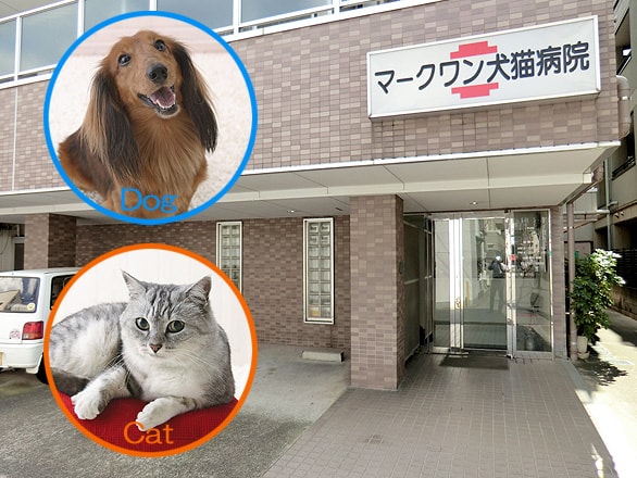 【学芸大学駅】マークワン犬猫病院